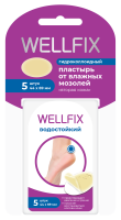Пластырь гидроколлоид веллфикс/wellfix 69х44мм N5