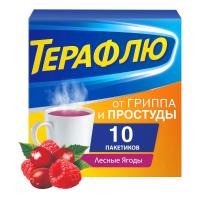 Терафлю пор. д/р-ра внутр лесные ягоды 11,6г N10