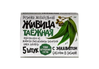 Таежная смолка жев резинка Живица эвкалипт N5