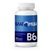 Благомин витамин B6 пиридоксин 2мг капс. 0,25г N40