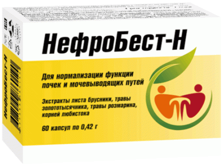 Нефробест-Н капс. 0,42г N60